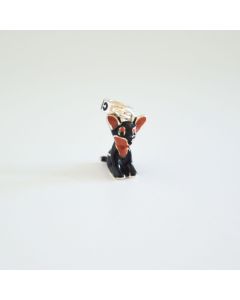 pro_foto1